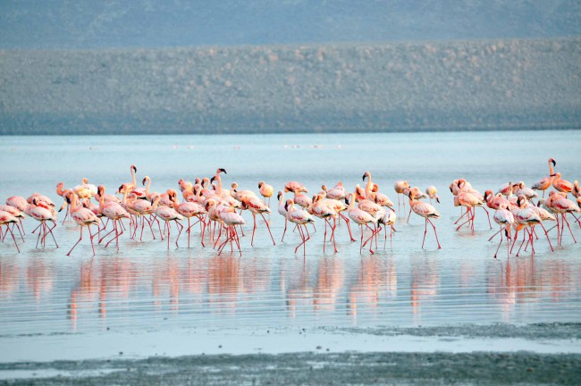 Lago Abbè, Gibuti Lago Abbè, Gibuti. Africa orientale. Ecco la TOP 5 di Best in Travel delle mete turistiche da scoprire in questo 2018.