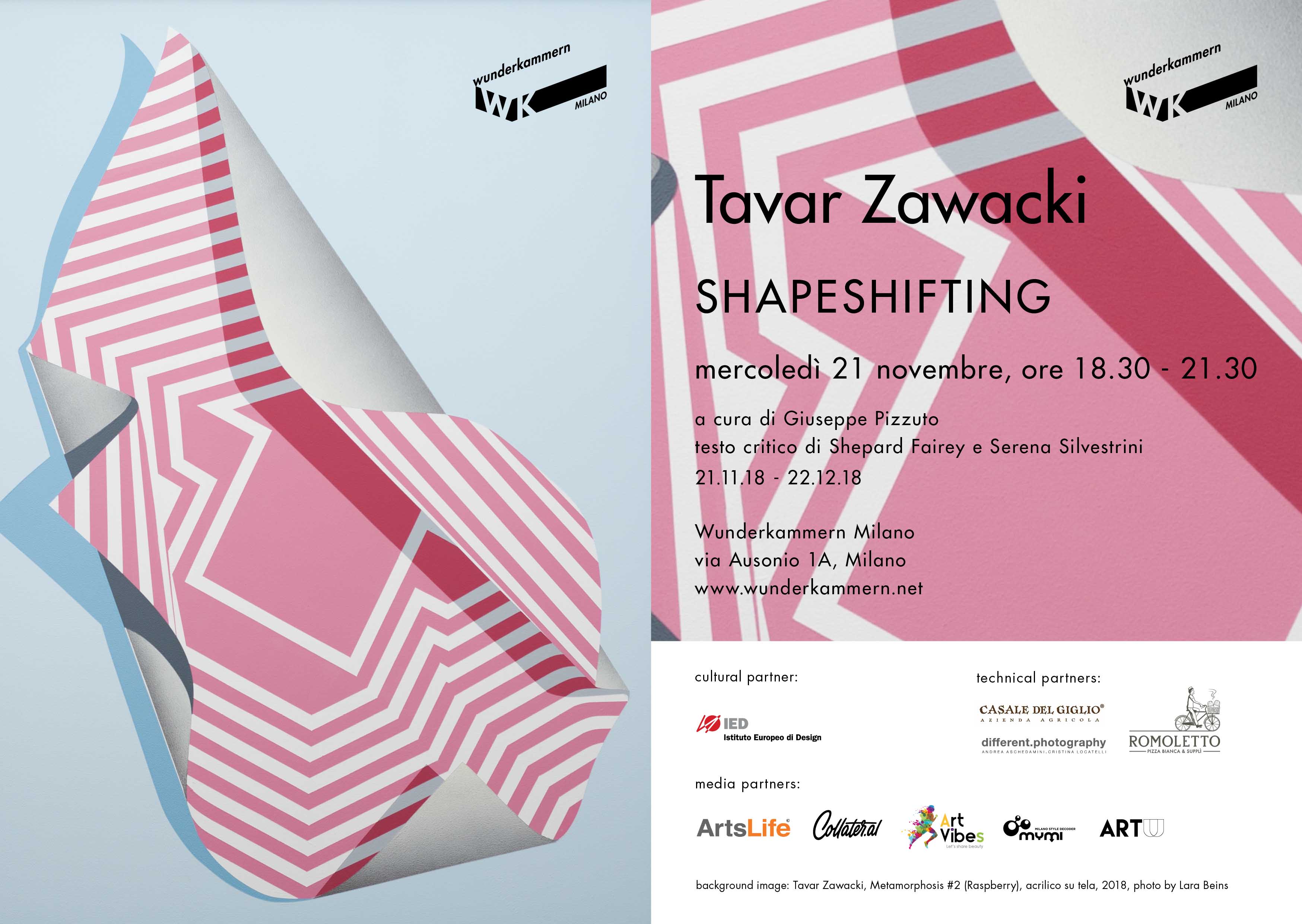 Opening Wunderkammern Dal 21 novembre al 22 dicembre 2018, la prima personale in Italia dell’artista americano Tavar Zawacki, SHAPESHIFTING, alla Wunderkammern di Milano.