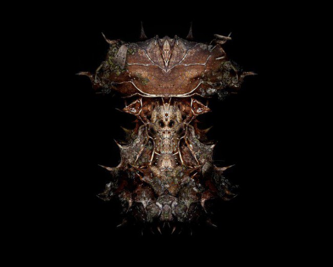 Ivan Khalus and Oleh Berezovskyi Pixio Magnetic Construction Set