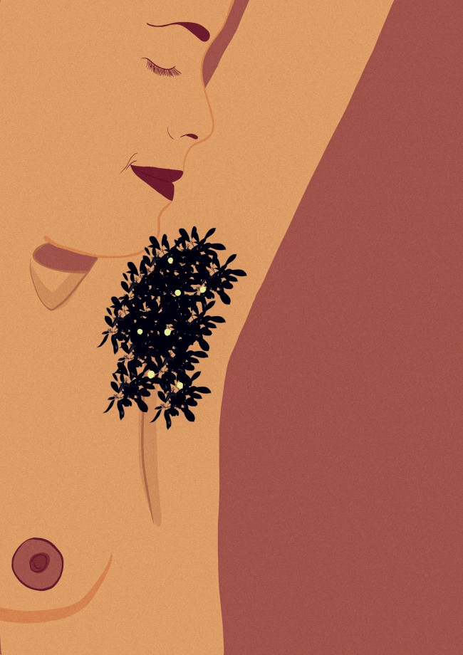 illustrazione dell'ascella pelosa di una donna non depilata