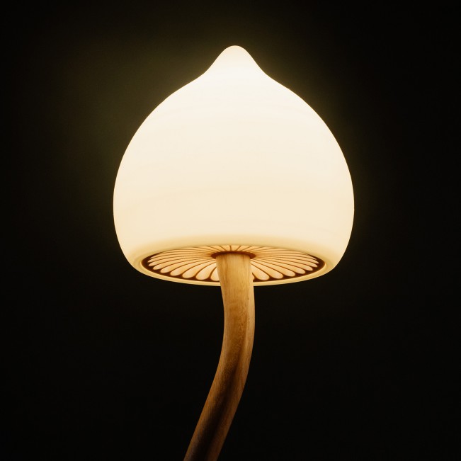 lampada a fungo magica