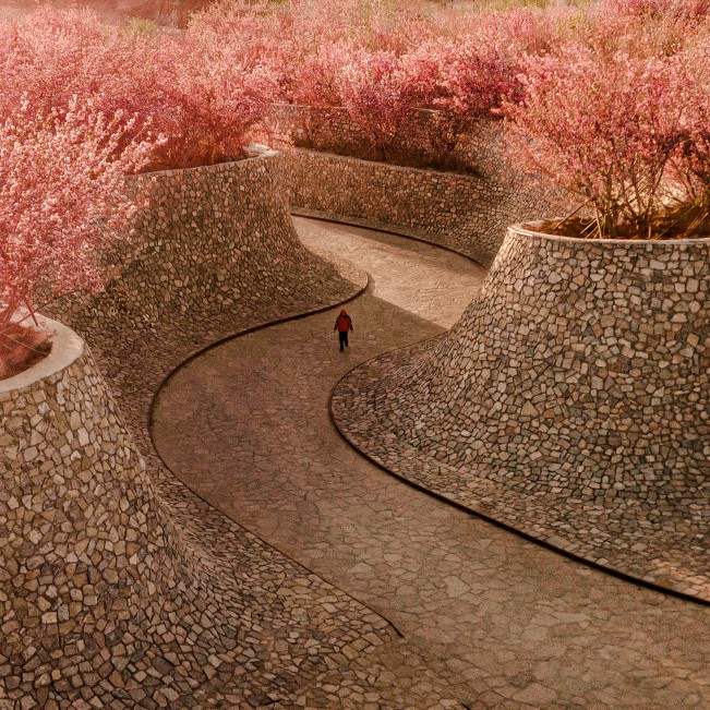 Rizhao Bailuwan Cherry Blossom Town Art and Cultural Space by Hu Sun - S.P.I