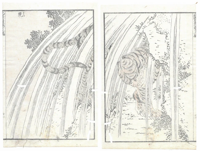 Hokusai Katsushika, Tigre e cascata da Hokusai manga vol. XIII, xilografia policroma su carta di gelso, 1849-1850, collezione privata