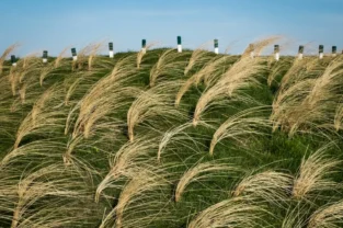 Pattern - Fotografie dal gruppo Flickr