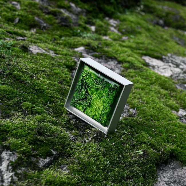 Earth Art Series by Vegesent